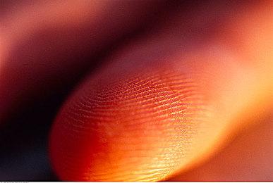 《脑航员2》开发商老板认为订阅制模式已经势不可挡